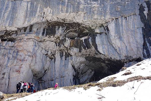 image.jpeg image.jpeg