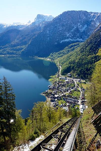 image.jpeg image.jpeg