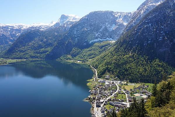 image.jpeg image.jpeg