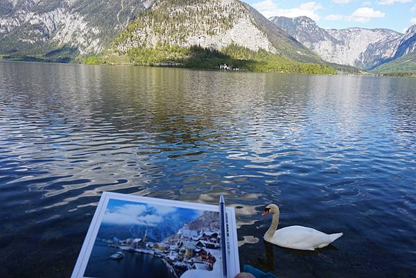 image.jpeg image.jpeg