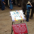 大象畫畫，賣的超貴