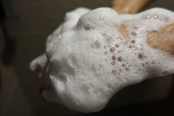 DSC05358.JPG DSC05358.JPG