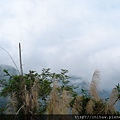 南投福盛山休閒農場