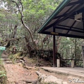 59F33AAB-C47B-4587-AFE1-A3E049A6D2B4_1_105_c_结果.jpeg