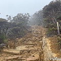 533436E3-7F5B-49FF-B7DE-97442156C1B5_1_105_c_结果.jpeg