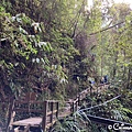 AFDD3ED7-22BC-4656-8471-1766D2E1B925_1_105_c_结果.jpeg
