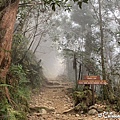 DDEE1F0A-2AA1-4349-B963-842CF885835D_1_105_c_结果.jpeg