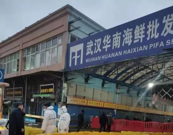 一位拒絕離開武漢的母親寫下《宅家日記》 一位拒絕離開武漢的母親寫下《宅家日記》