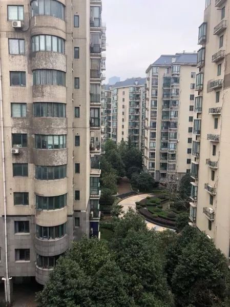 一位拒絕離開武漢的母親寫下《宅家日記》 一位拒絕離開武漢的母親寫下《宅家日記》