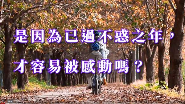 是因為已過不惑之年,才容易被感動嗎? 是因為已過不惑之年,才容易被感動嗎?