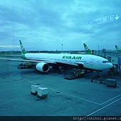 P1050608.JPG P1050608.JPG