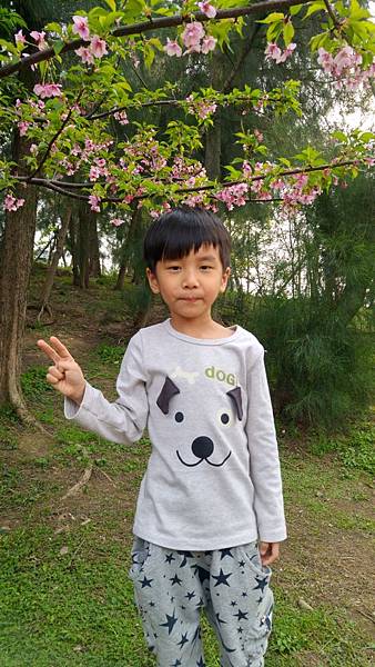 2016-03-05 16.04.43.jpg 2016-03-05 16.04.43.jpg