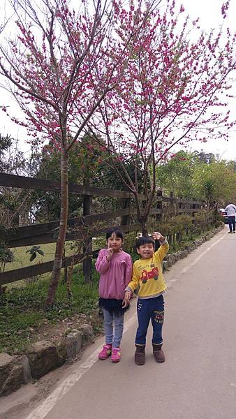 2016-03-06 09.51.48.jpg