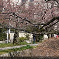 2012Kyoto Day3  (137)