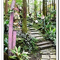童話森林-3.jpg