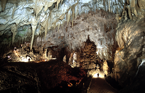 Skocjan Caves 2 (from Official website)