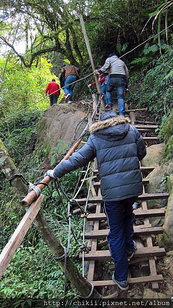 IMG_6439.JPG IMG_6439.JPG