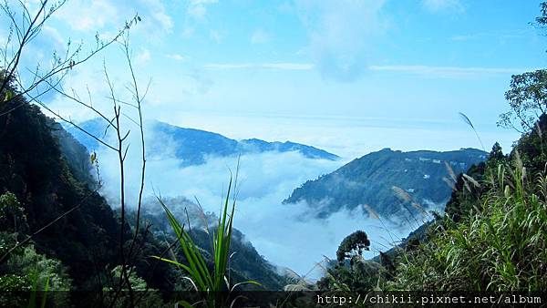 IMG_6537 - 複製.JPG IMG_6537 - 複製.JPG