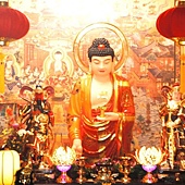 DSCF8242 DSCF8242