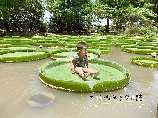 親子景點
