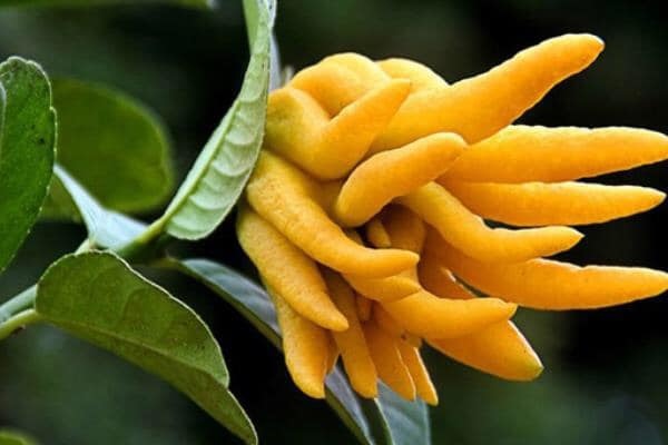 119841063_3553135891373255_3637248692685184107_n