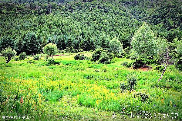 香格里拉千湖山-75