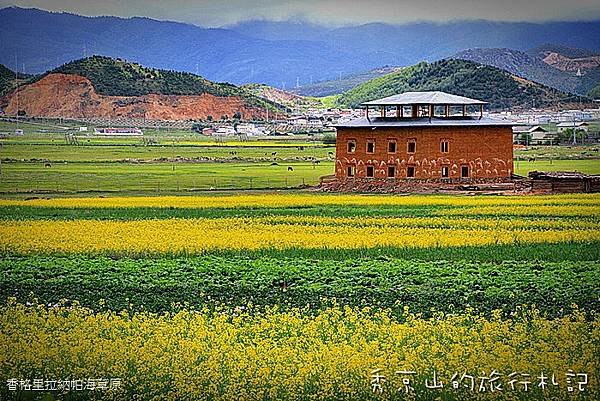 香格里拉納帕海草原-68