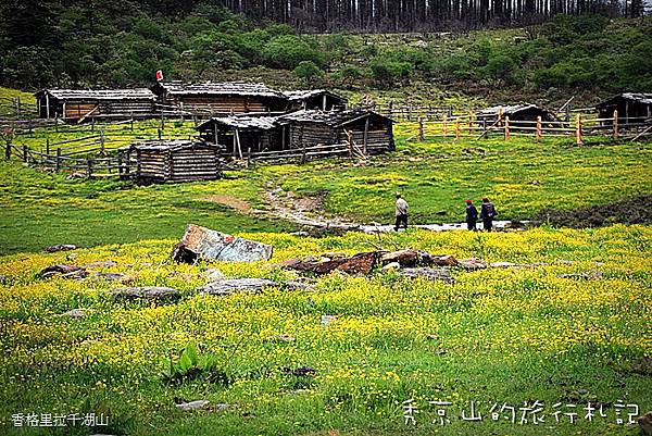 香格里拉千湖山-86