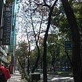 20070204_024.jpg