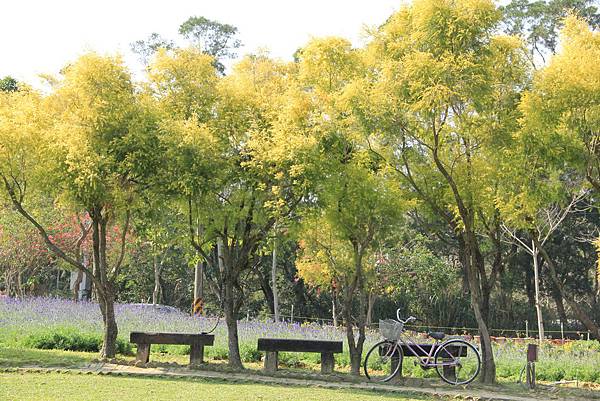 103-2-1大溪~富田花園農場