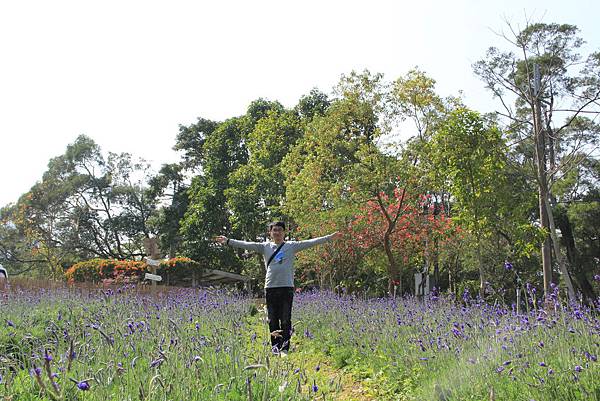 103-2-1大溪~富田花園農場