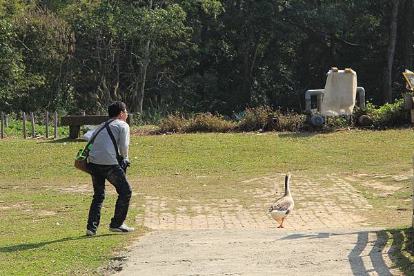 103-2-1大溪~富田花園農場