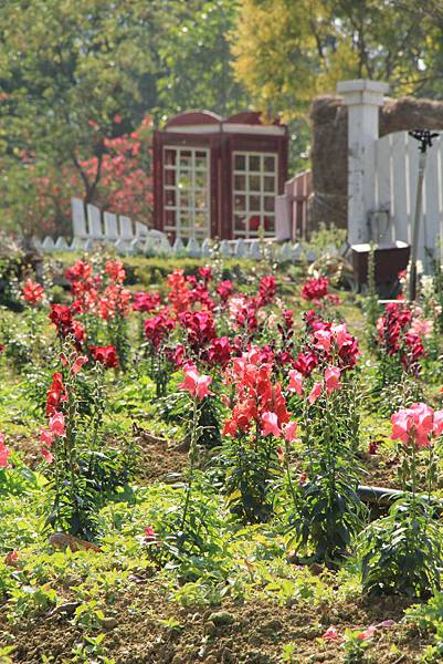 103-2-1大溪~富田花園農場