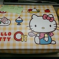103-11-4長榮航空Hello Kitty 彩繪機
