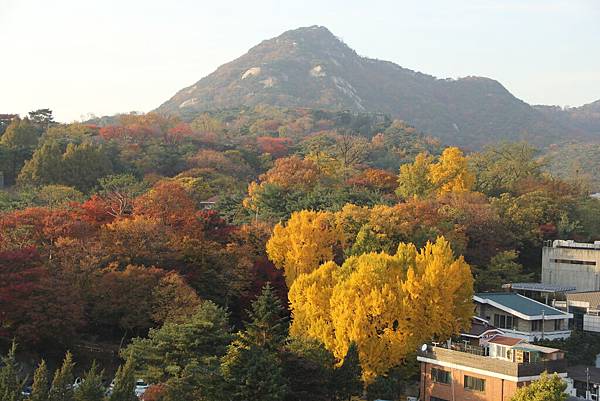 103-11-7北村韓屋村