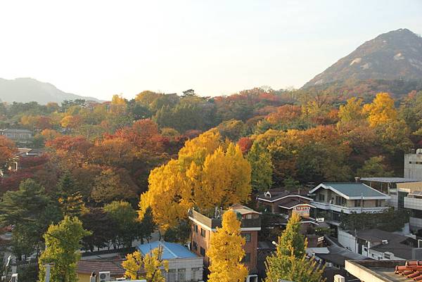 103-11-7北村韓屋村