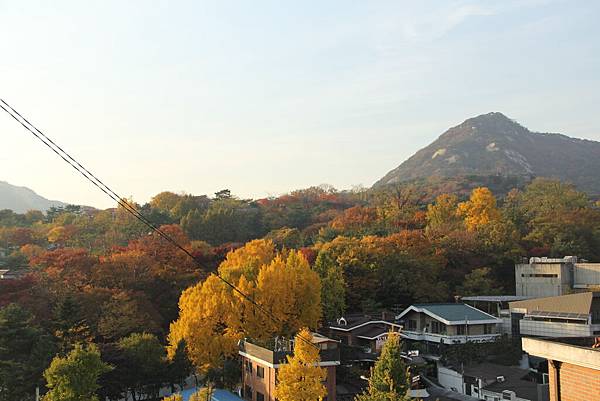 103-11-7北村韓屋村