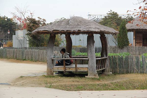 103-11-8月尾島~傳統庭園公園