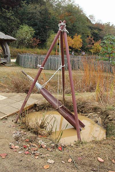 103-11-8月尾島~傳統庭園公園