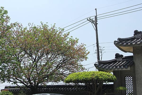 104-04-05士林~東方寺