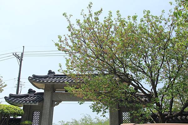 104-04-05士林~東方寺