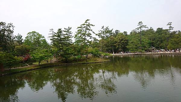 107-5-17奈良~東大寺