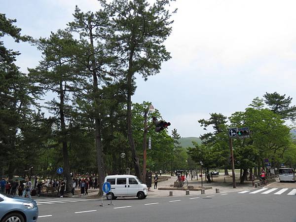 107-5-17奈良~奈良公園