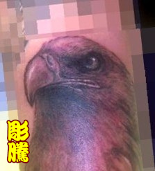 鷹眼.jpg