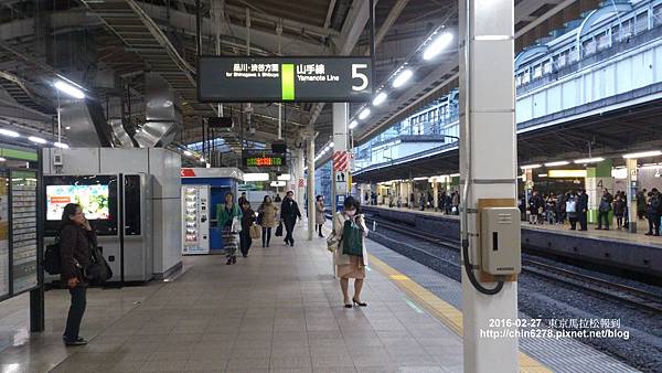 DSC_1624.jpg DSC_1624.jpg