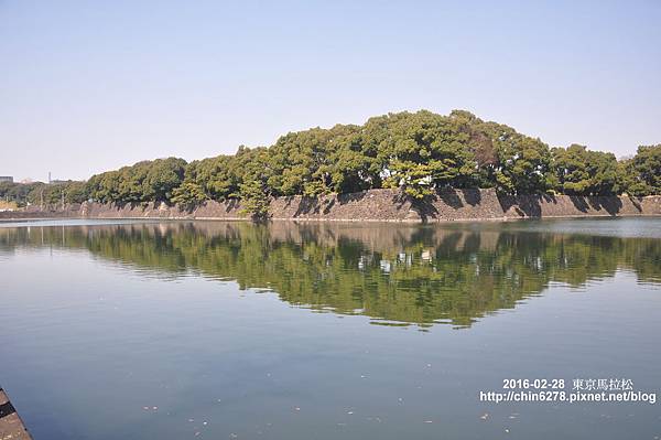 DSC_7896.JPG DSC_7896.JPG