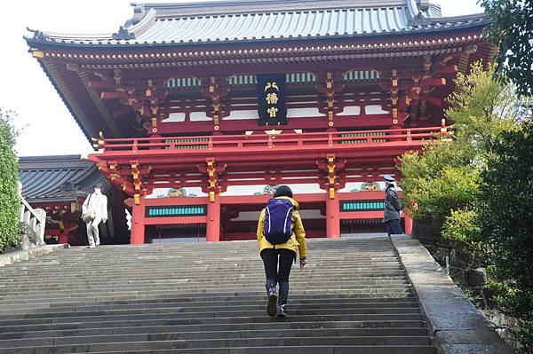 DSC_7921.JPG DSC_7921.JPG