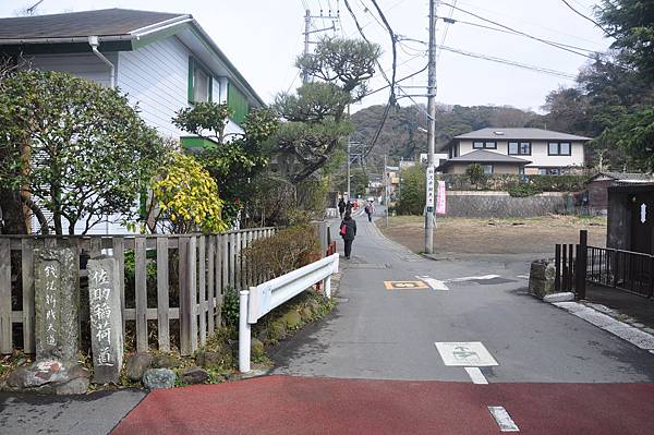 DSC_7930.JPG DSC_7930.JPG