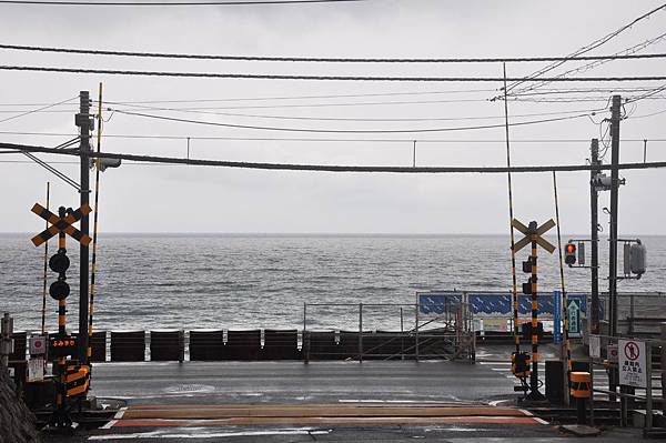 DSC_7951.JPG DSC_7951.JPG