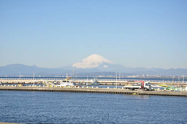 DSC_8011.JPG DSC_8011.JPG